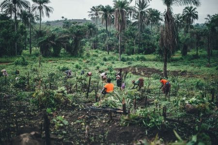 Un million de dollars : la levée de fonds pour le sponsoring des agriculteurs nigérians fonds