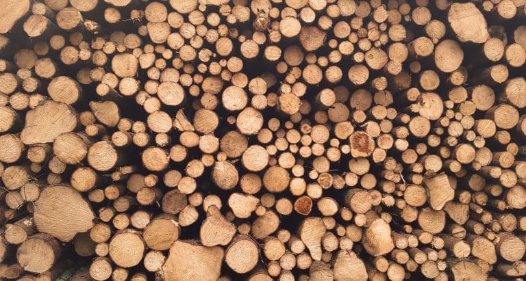 Offrez-vous un peu de nature avec des objets de la vie quotidienne en bois
