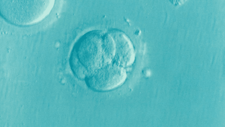 [Insolite] Naissance d&rsquo;une petite fille à partir d&rsquo;un embryon congelé il y a 24 ans