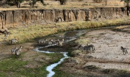 La biodiversité de la Tanzanie est grandement menacée tanzanie