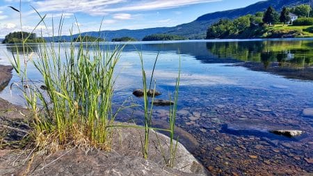 Cinq des mesures les plus fortes prises en faveur de la nature mesures