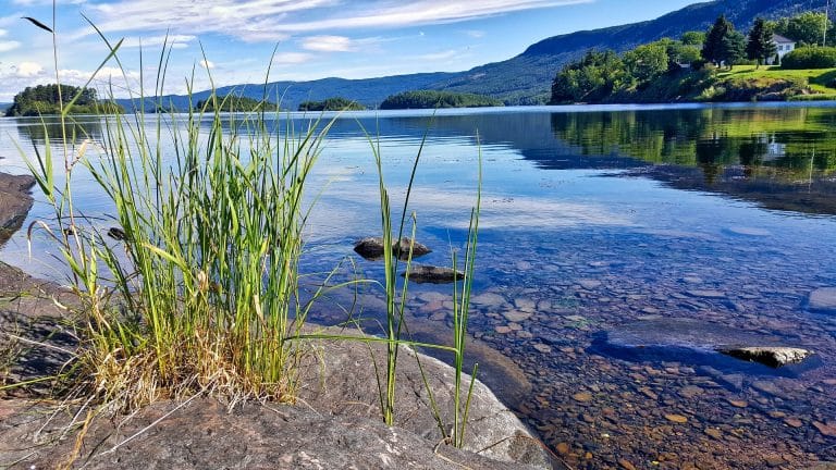Cinq des mesures les plus fortes prises en faveur de la nature