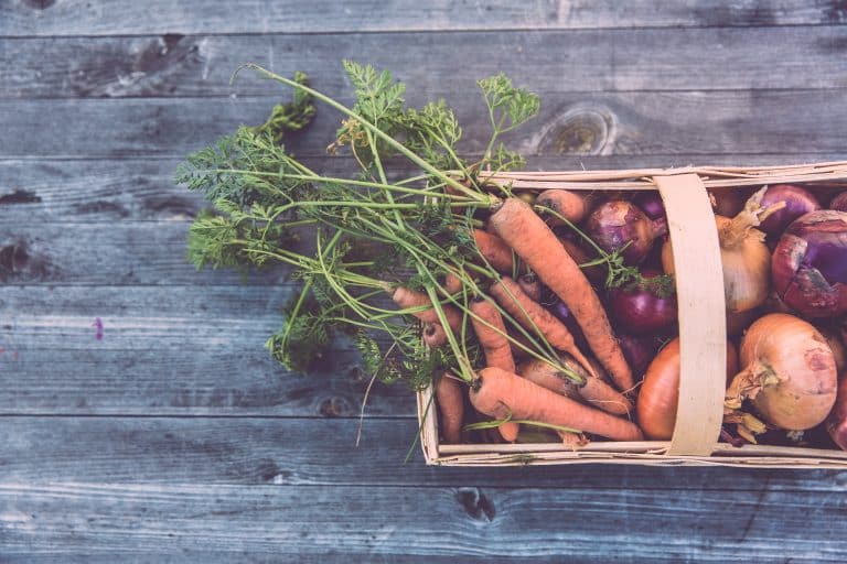 Noël : les livres à offrir pour une cuisine et une vie plus saines
