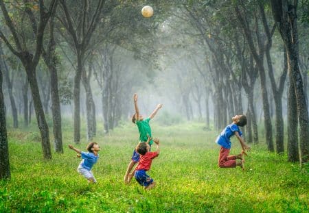 Noël : des cadeaux autour de la nature pour les enfants