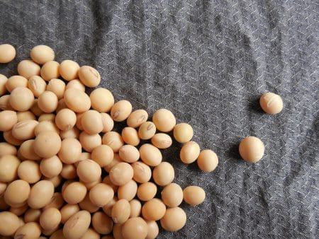 Glyphosate : l’Argentine fortement impactée argentine