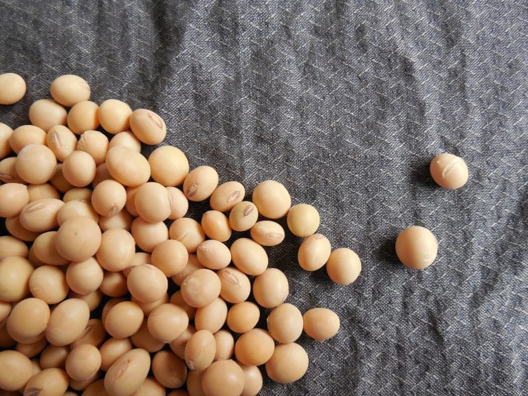 Glyphosate : l&rsquo;Argentine fortement impactée