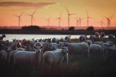 EFG Hermes a décidé d’investir 500 millions de dollars dans les énergies renouvelables renouvelables