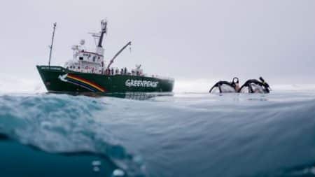 Des photographies inédites du fond marin de l’océan Austral capturées par un sous-marin de Greenpeace greenpeace