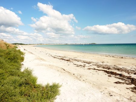 Finistère : de mystérieuses boulettes jaunes se sont échouées sur une plage boulettes