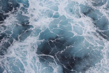 Une surprenante faune des abysses a été découverte dans le golfe du Mexique mexique
