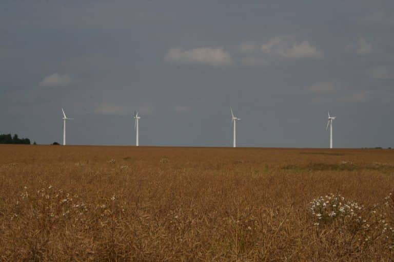 Énergies renouvelables : l&rsquo;état des lieux en Europe