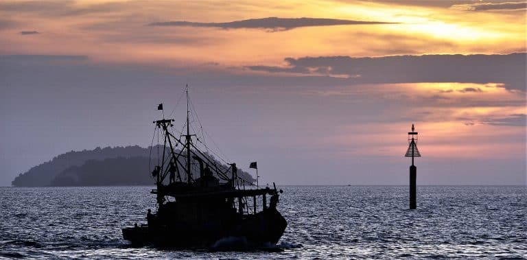 L’interdiction de la pêche électrique votée par le Parlement européen