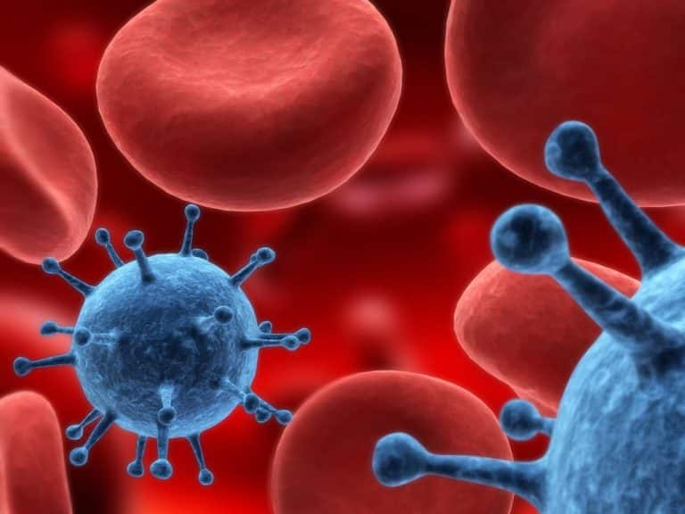 Un vaccin est parvenu à vaincre des tumeurs chez les souris