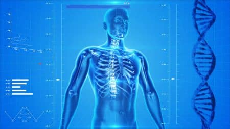 Santé : sans ces organes, le corps humain fonctionne toujours aussi bien !