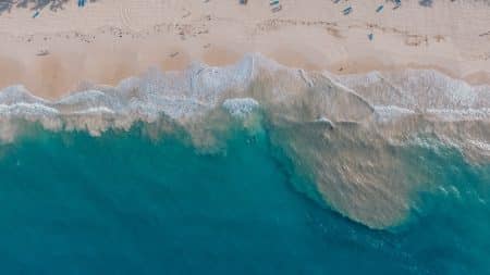 Ils reviennent les pieds infestés de vers après une semaine à la plage vers