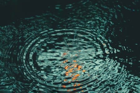 Au Portugal, une crise écologique frappe le fleuve Tage tage