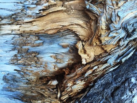 Les accessoires en bois : la tendance du moment bois