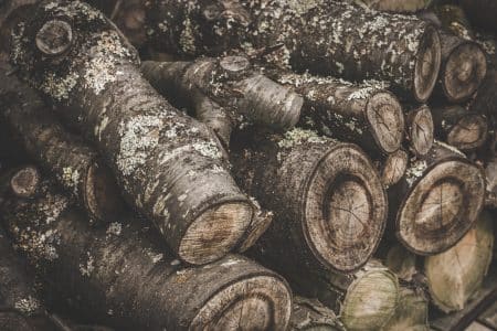 Des objets décoratifs en bois pour une maison encore plus éthique bois