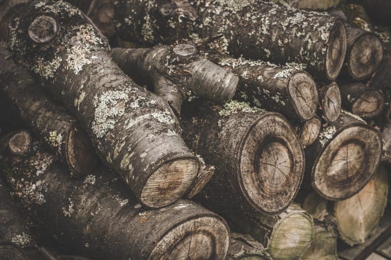 Des objets décoratifs en bois pour une maison encore plus éthique