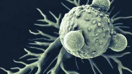 Cancer colorectal : un vaccin très prometteur a été mis au point