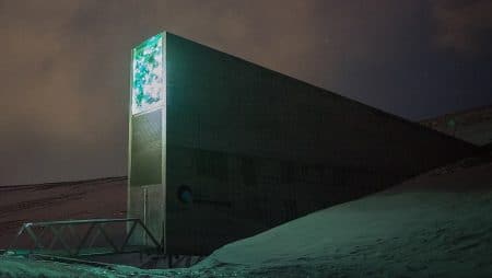 Norvège : un million de graines préservées dans la réserve mondiale de semences du Svalbard graines