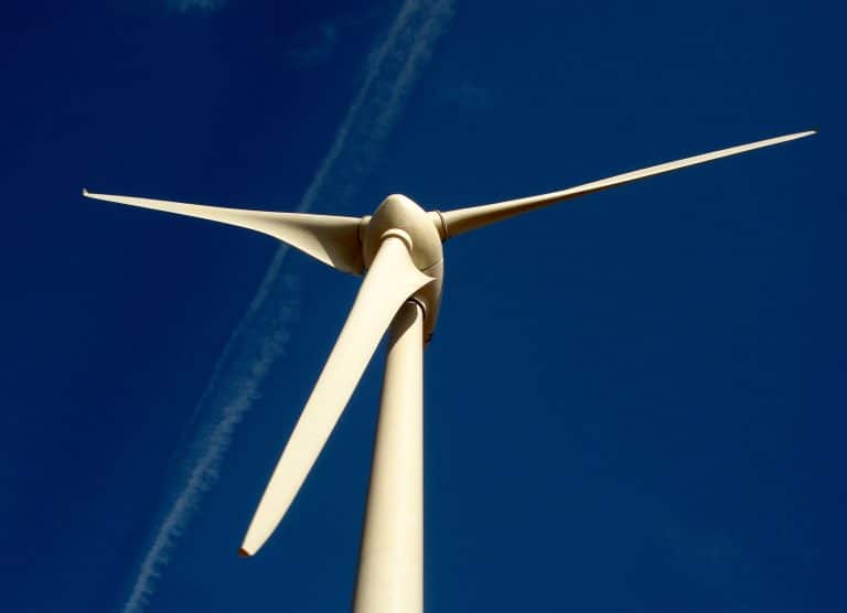 Les éoliennes flottantes continuent de faire polémique en France