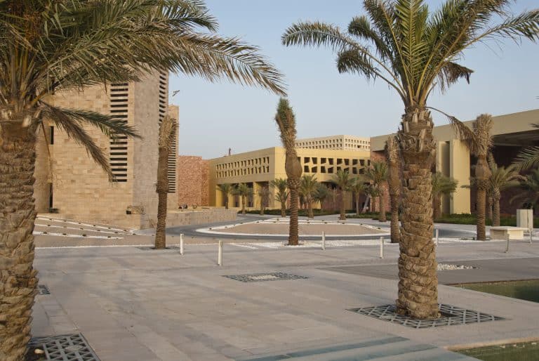 Coupe du monde 2022 : le Qatar plante plus de 16 000 arbres