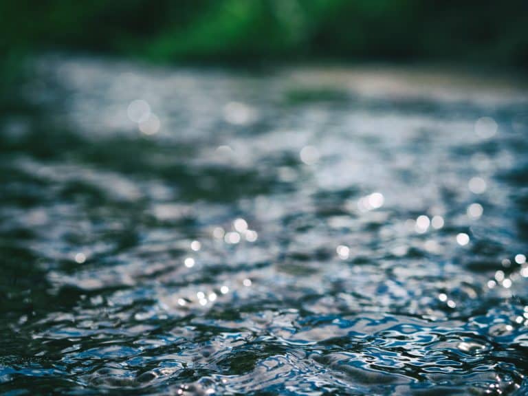 L’ONU préconise des solutions vertes pour traiter l’eau