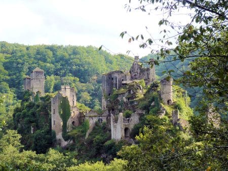 En Corrèze, des milliers d’arbres ont été abattus à l’instigation du conseil départemental