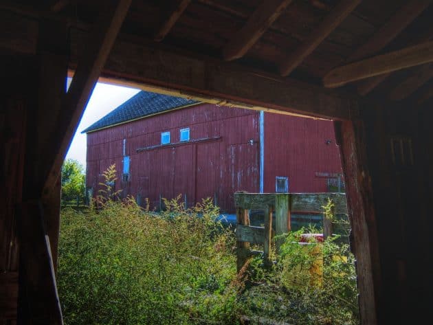 Les fermes urbaines, l’avenir de l’agriculture actuelle ?