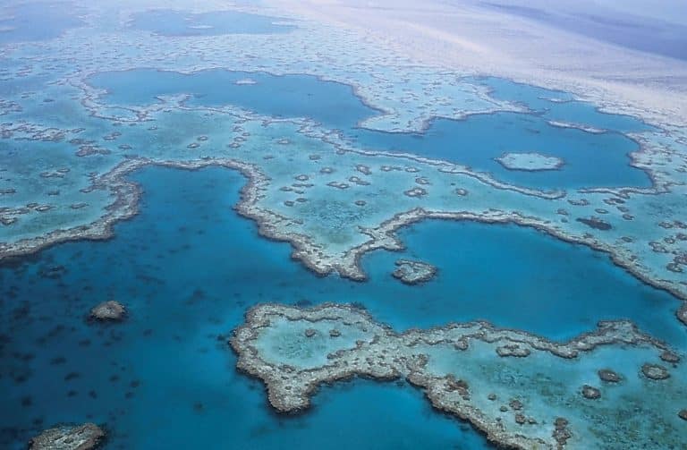 500 millions de dollars promis par l’Australie pour sauver la Grande Barrière de corail