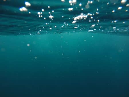 Des chercheurs ont trouvé une « zone morte » sans oxygène dans le golfe d’Oman zone morte
