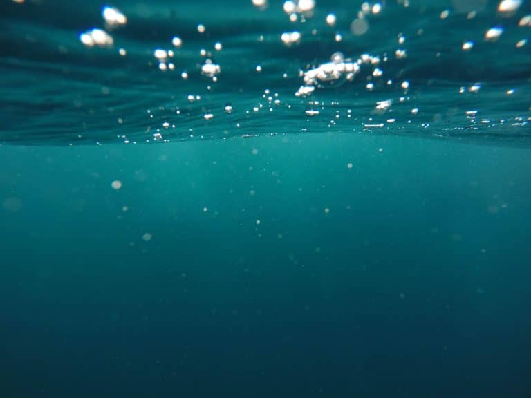Des chercheurs ont trouvé une « zone morte » sans oxygène dans le golfe d’Oman
