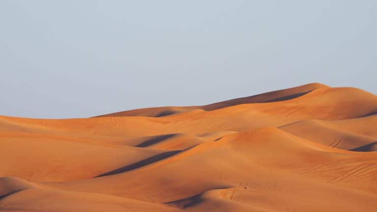 Sahara : le désert s’est agrandi de 10 % en cent ans