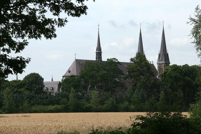 Trappe Puur : une bière trappiste bio