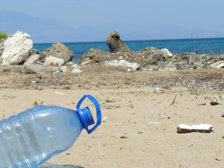 Infographie : tout sur la durée de vie des déchets domestiques dans la nature