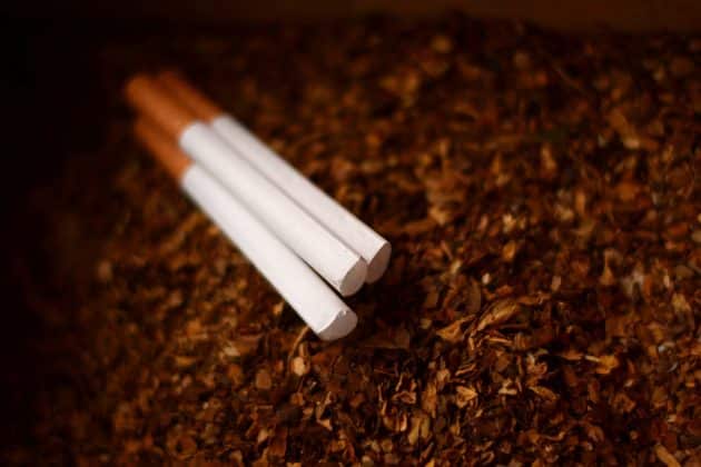 Strasbourg : le tabac est désormais interdit dans les espaces verts