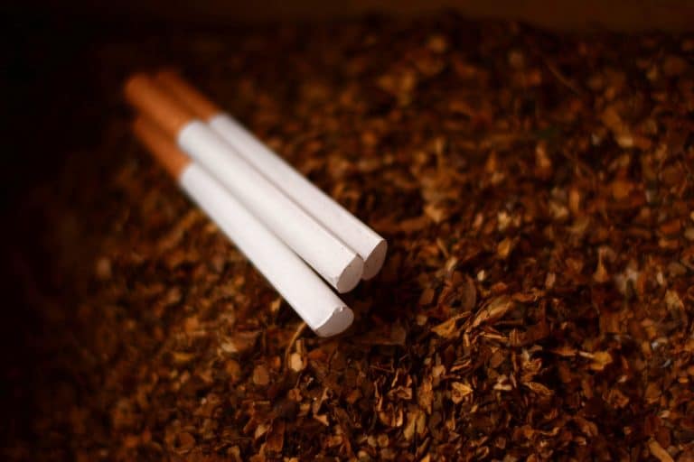 Strasbourg : le tabac est désormais interdit dans les espaces verts