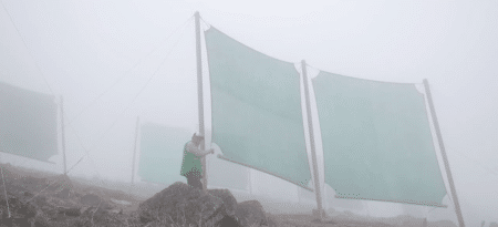 Au Maroc, le filet CloudFisher transforme le brouillard en eau potable pour les populations