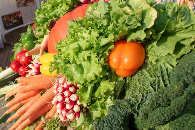 Pousse-légume : un potager connecté qui produit 1 kg de légumes chaque mois