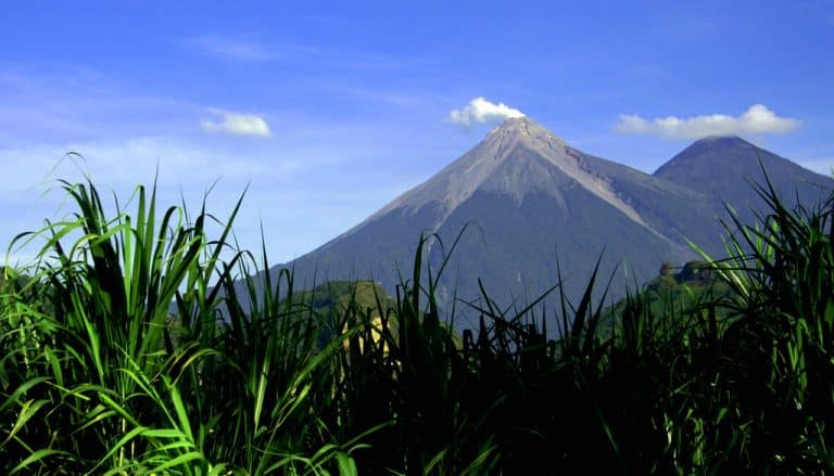 Guatemala : une éruption du volcan Fuego a causé la mort de plusieurs dizaines de personnes