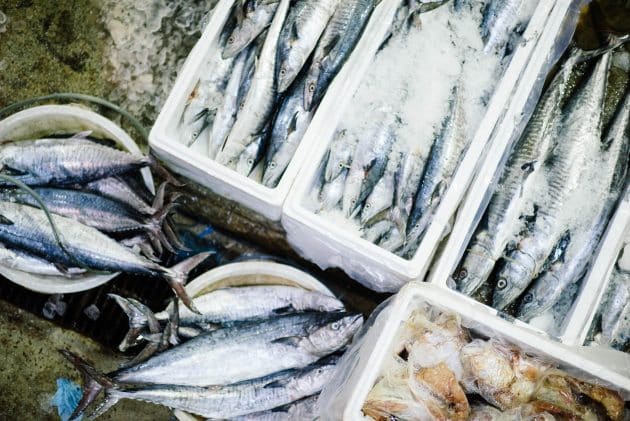 Les coûts environnementaux de différentes protéines comparés dans une étude coûts
