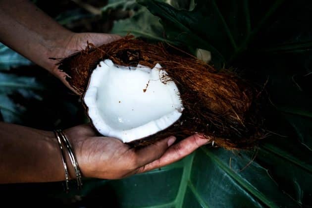 L’huile de noix de coco : le produit indispensable de l’été ! coco