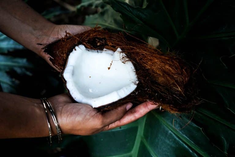 L’huile de noix de coco : le produit indispensable de l’été !