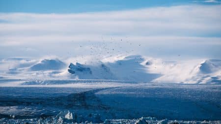 Arctique