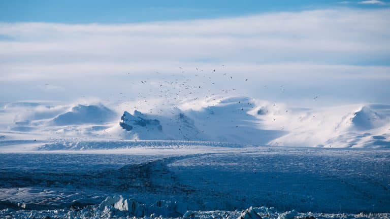 Sibérie : la péninsule de Yamal convoitée pour l’exploitation gazière