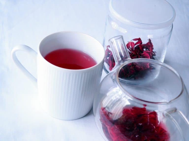 Jus de bissap : zoom sur ce nectar africain qui soigne l&rsquo;hypertension artérielle et pas que !