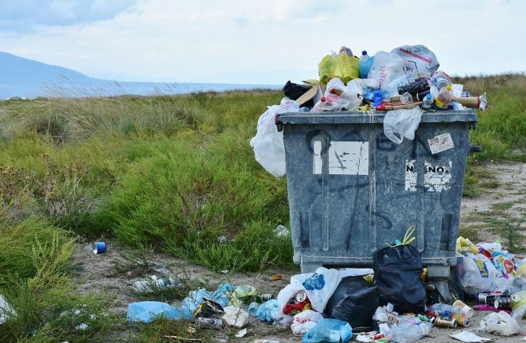 Hérault : un transport gratuit en échange d’un geste écologique