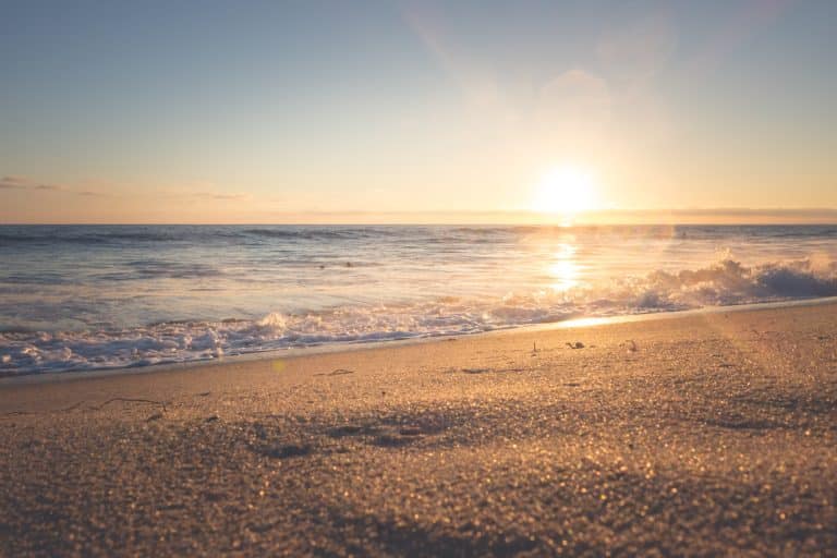Créez votre crème solaire naturelle avec 4 ingrédients seulement !