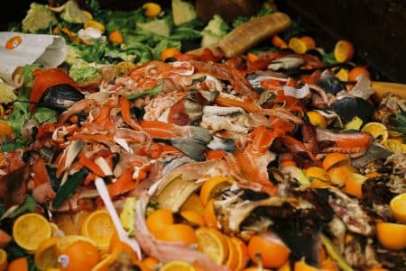Gaspillage alimentaire : 66 tonnes de nourriture jetées par seconde d’ici 2030